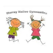 Murray Mallee Gymnastics