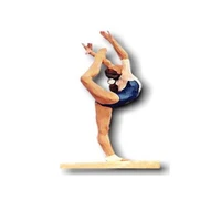 Dynamic Gymnastics Club Inc