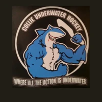 Collie Underwater Hockey Club