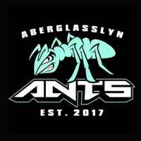 Aberglasslyn RLFC