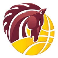 Melton Basketball Association