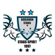 GWC Stags FC