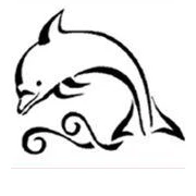 Bay & Basin Amateur Swim Club