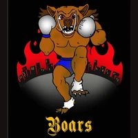 Boar's Martial Arts