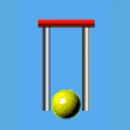 Young Croquet Club Inc