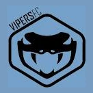 Vipers FC