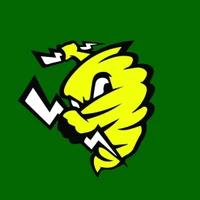 Forster Tuncurry Touch Association