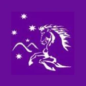 Mt Mee Pony Club