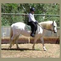 Ashcroft Horsemanship
