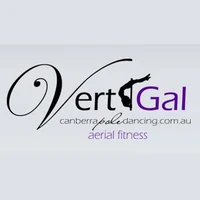 VertiGal Aerial Fitness