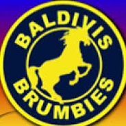 Brumbies Netball Club