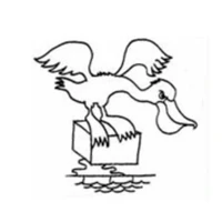 Armadale Masters Swimming Club
