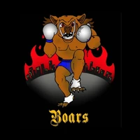 Boars Martial Arts Academy