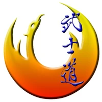 Bushido Martial Arts