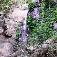 Inverell Bushwalking Club Inc