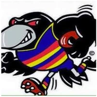 Billabong Crows Netball Club
