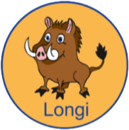 Longital sport club