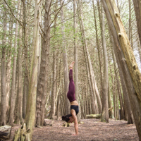 Yoga with Meagan - Whitehorse