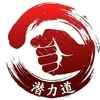Wing Chun Kapiti