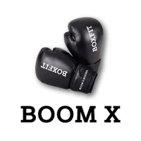 BOOM X BOXING - Fitness training for all ages, specializing in Parkinson's,M.S. and Seniors