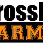 CrossFit Parma