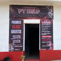 FUNCTIONAL TRAINING"WOLF"
