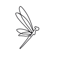 Dragonfly Pole Dancers sucursal Del Valle
