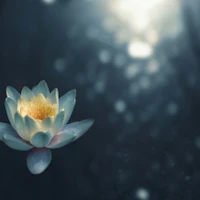Yogena Nirvana