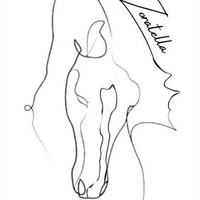 Zoratella Équitation