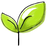 Yoga Permaculture