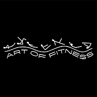 Art Of Fitness
