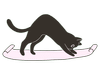 Kitty Yoga Toronto