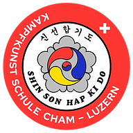Shinson Hapkido Kampfkunst Schule Cham