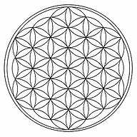 Balance-Yoga-Kemnath