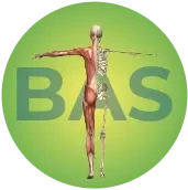 Body Alignment Solutions