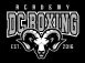 DC Boxing Academy