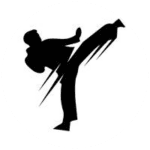 Elite Martial Arts Academy