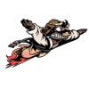 Flying Squirrel Jiu-Jitsu
