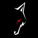 Wolf Dance Studio Sp. z o.o.