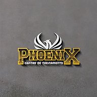 CT Phoenix - B9