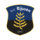 s.v. Rijssen