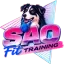 SAO fit training