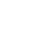 Technobody