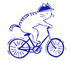 felis velos cycling haven