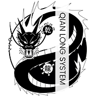| QLS MMA | Kampfsport & Selbstverteidigung in Basel. Kung Fu, Boxing, Kickboxing, Sanda, Chin Na, Muay Thai, MMA, Grappling