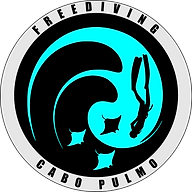 Freediving Cabo Pulmo