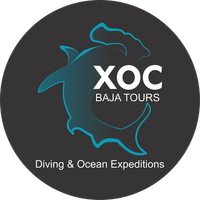 XOC Baja Tours