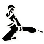 Tae Kwon Do Fernando Estrada Academia