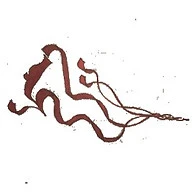 Mudita Yoga Studio - Madrid