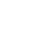 Toronto Pilots